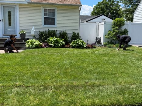 Yard